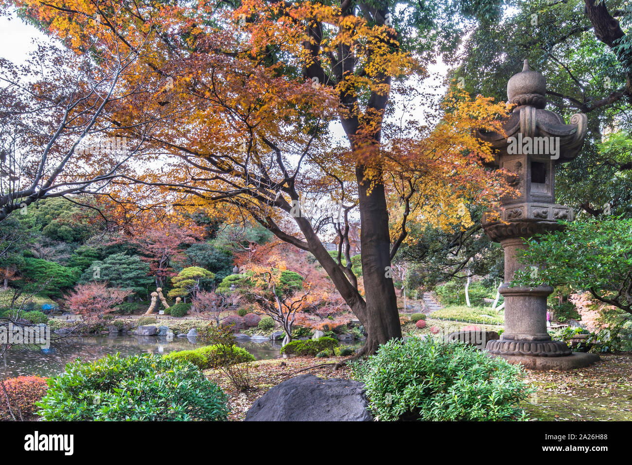 Tokyo Metropolitan Park KyuFurukawa's japanese garden's Kasuga stone lantern overlooking by red maple momiji leaves in autumn. Stock Photo