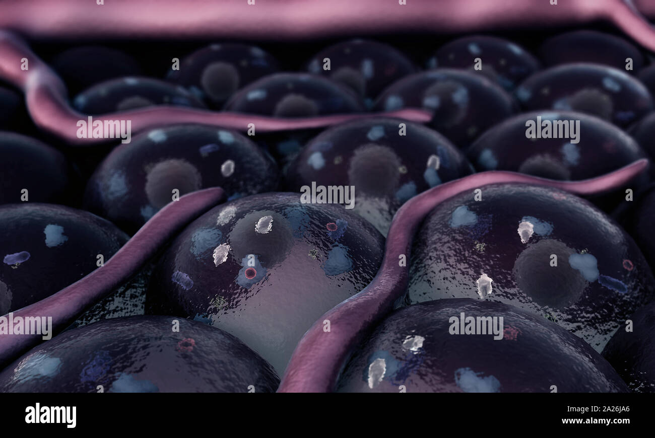 protein on the cell, receptors and vein on the cells surface Stock Photo