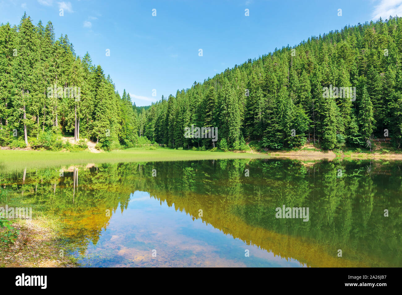 Beautiful Summer Landscape In Mountains Lake Among The Spruce Forest Wonderful Sunny Weather Scenery Reflecting In The Water Great View Of Green A Stock Photo Alamy