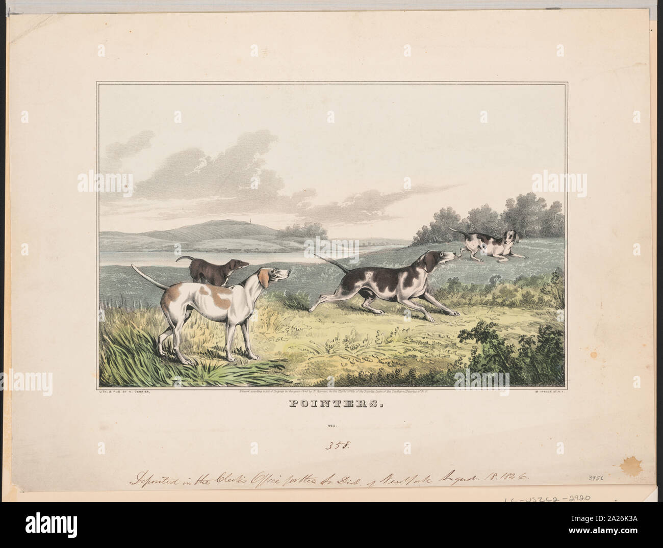 Pointers Stock Photo