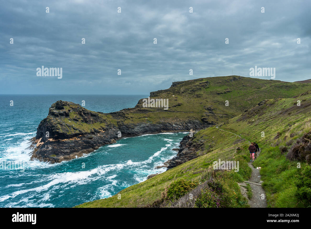 South West Coast Path with views of Warren point at the entrance of Boscastle Harbour in North Cornwall, England, UK. Stock Photo