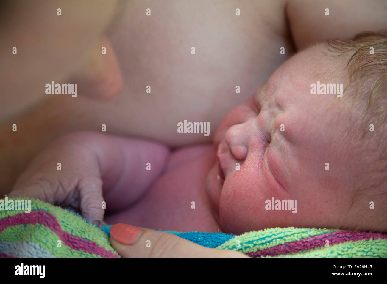 A newborn baby being embraced by their mother after being born Stock Photo