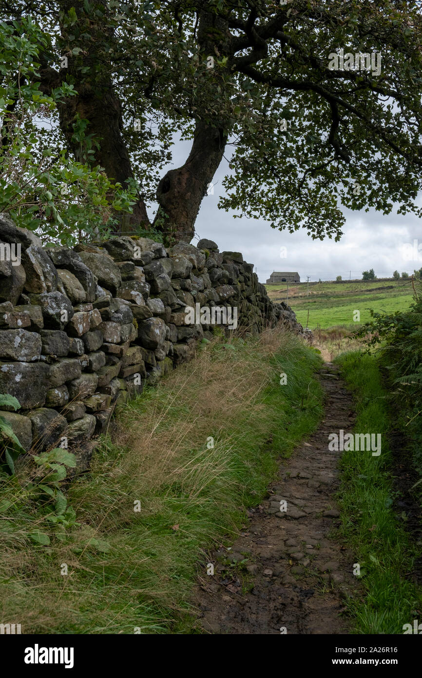 A walking trail on the West Yorkshire moors near the Pennine Way, in Bronté Country, with a dry stone wall Stock Photo