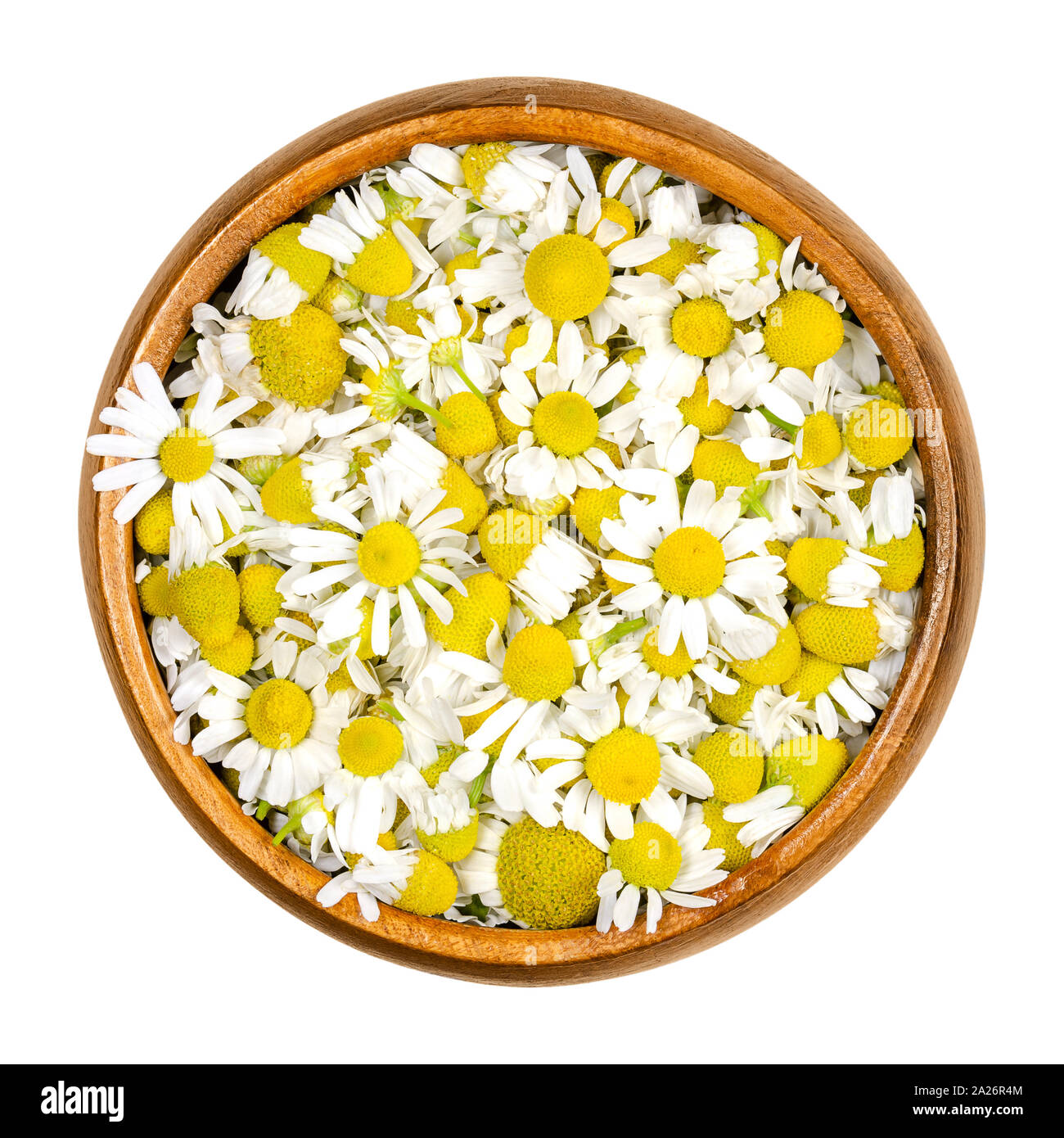 Chamomile blossoms in wooden bowl. Fresh camomile flowers, Matricaria chamomilla, used for herbal infusions and in traditional medicine. Stock Photo