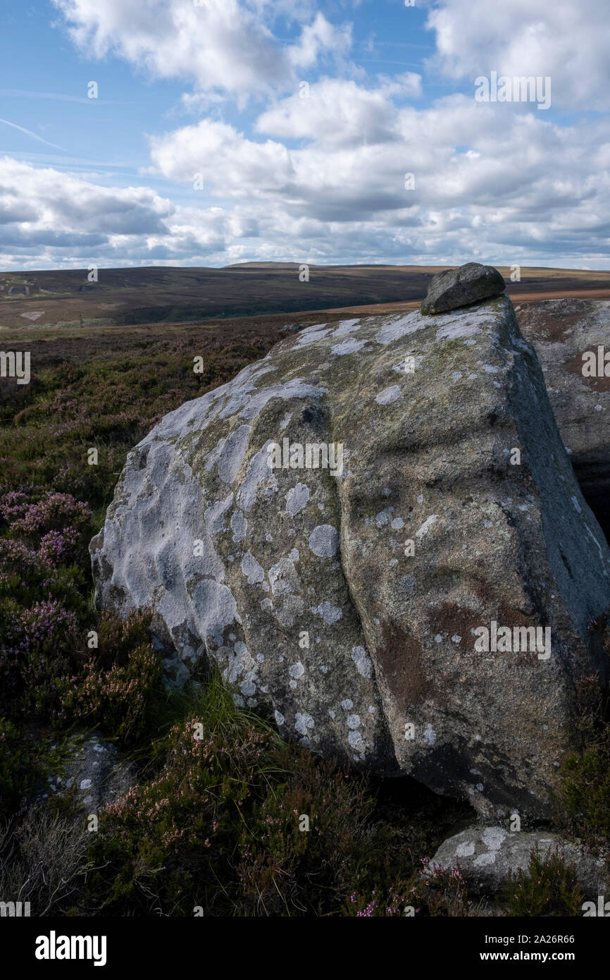 A massive weathered boulder near Alcomden Stones on Stanbury Moor, West Yorkshire, deposited by the retreating ice age glaciers Stock Photo