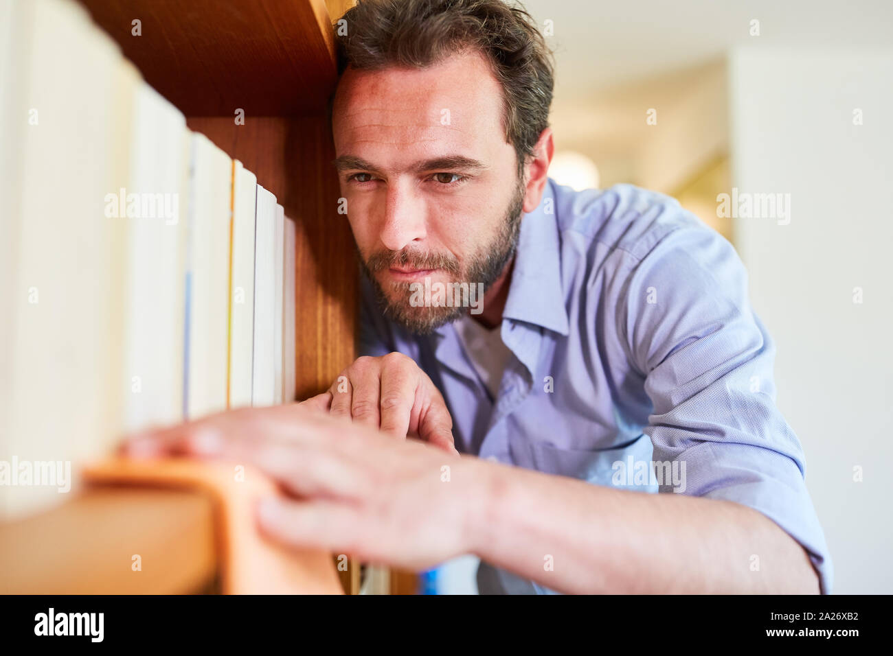 Hausmann wiping dust cleans bookshelves as a concept for role reversal Stock Photo