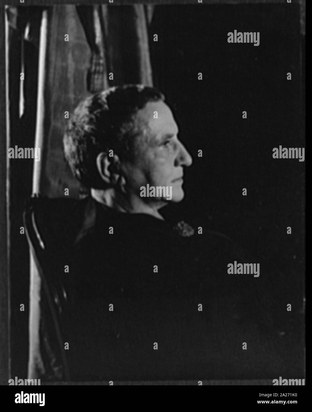 Portrait of Gertrude Stein Stock Photo