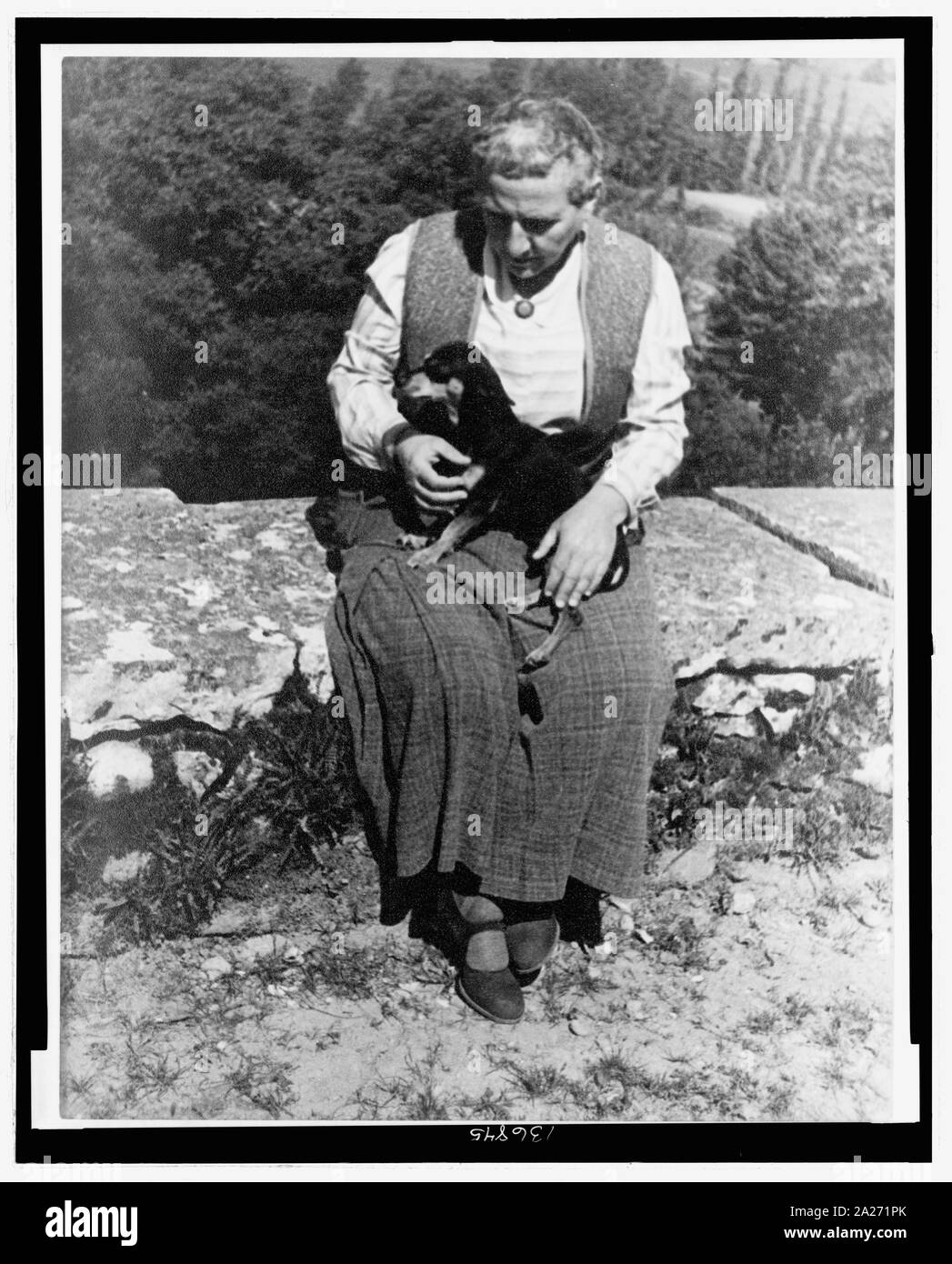 Portrait of Gertrude Stein, with dog Pepe, Biliguin Stock Photo