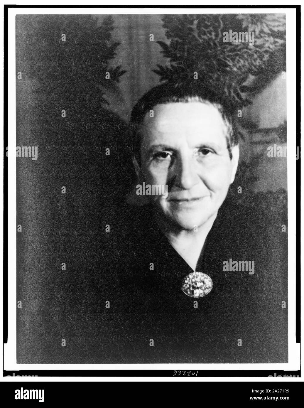Portrait of Gertrude Stein, New York Stock Photo