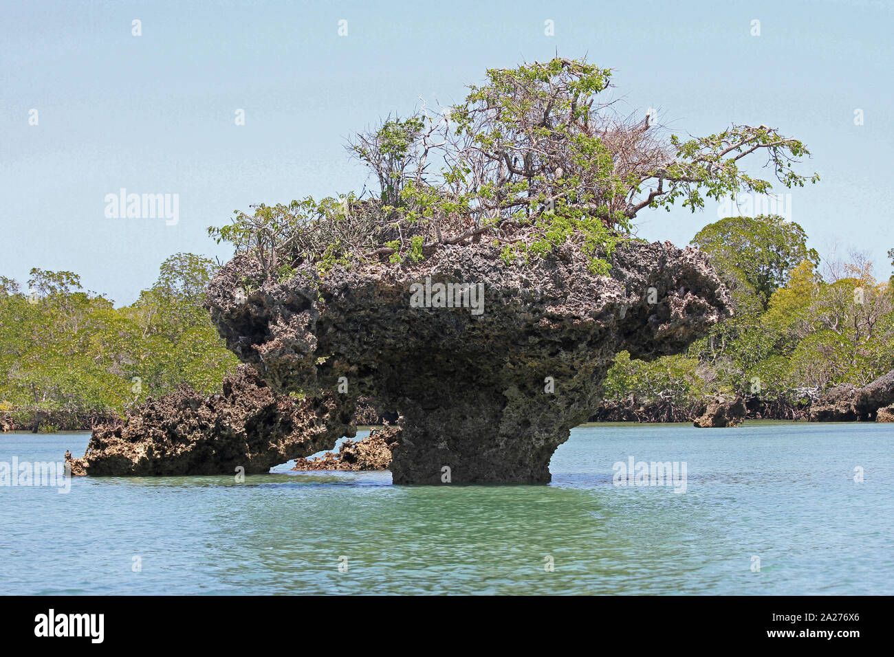 Rocky edges of mangroves and mangrove islets in ocean, off the coast of Zanzibar, Unguja Island, Tanzania. Stock Photo