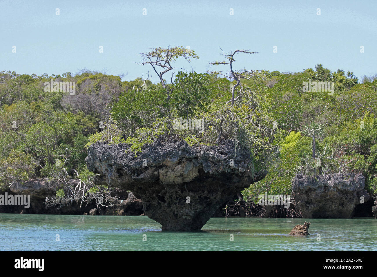Rocky edges of mangroves and mangrove islets in ocean, off the coast of Zanzibar, Unguja Island, Tanzania. Stock Photo