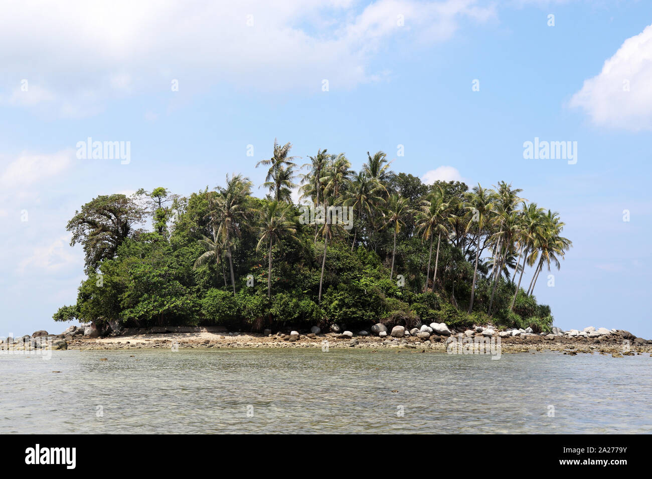 Tropical island with coconut palm trees in a ocean, picturesque view from the calm water. Paradise seascape with blue sky and white clouds Stock Photo