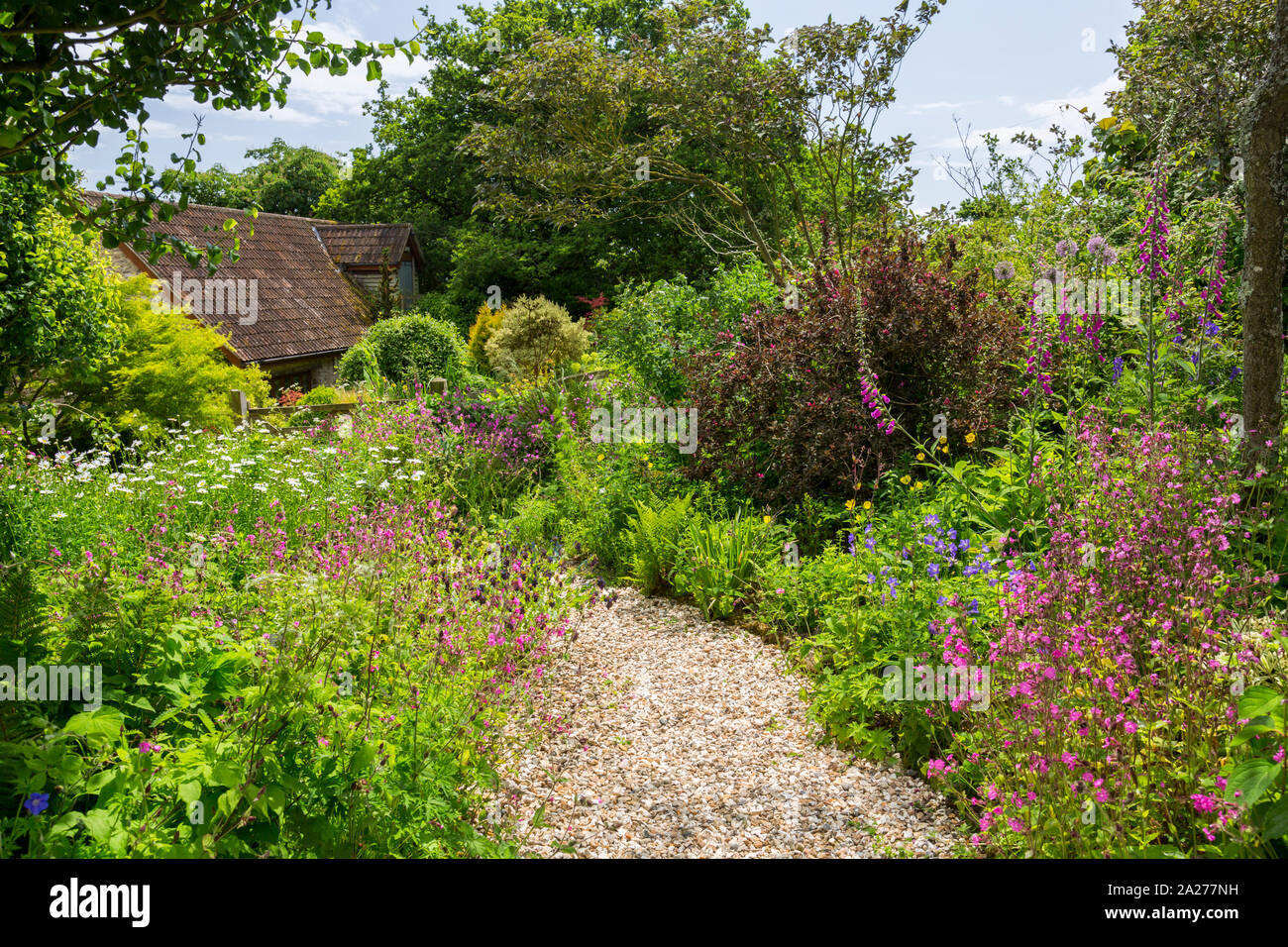 The well stocked and colourful borders of the Terrace Garden at Burrow ...