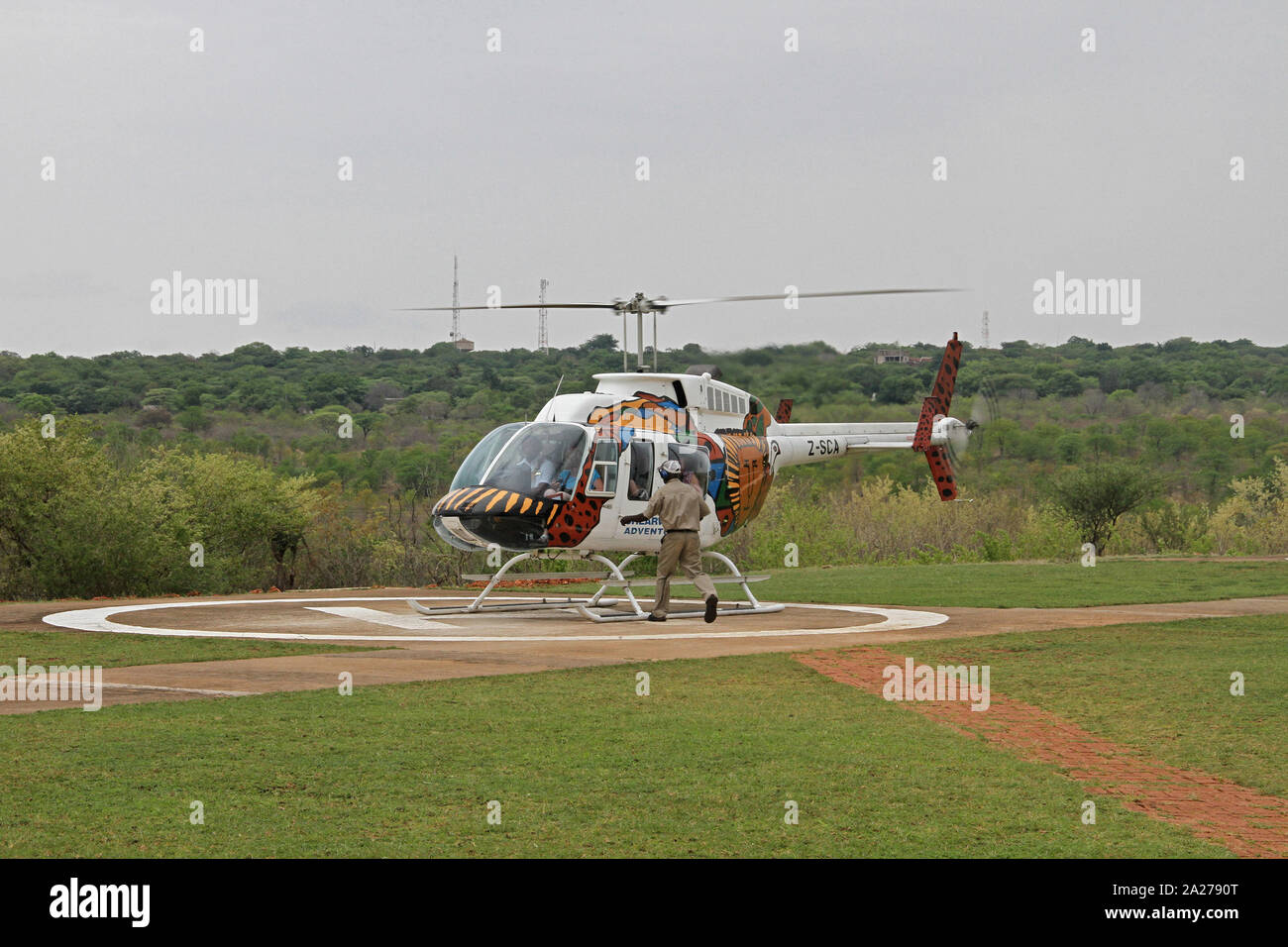 Game ranger walking into parked Shearwater Adventures Z-SCA Bell 206L3 LongRanger helicopter taking off, Victoria Falls, Zimbabwe. Stock Photo