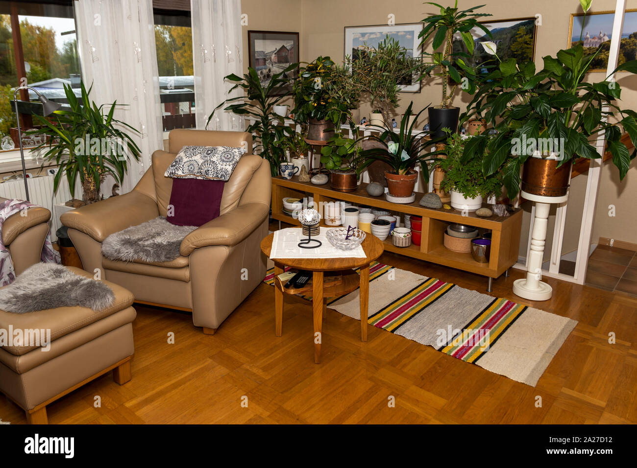 Room with a lot of flowers and green plants, picture from Northern Sweden. Stock Photo