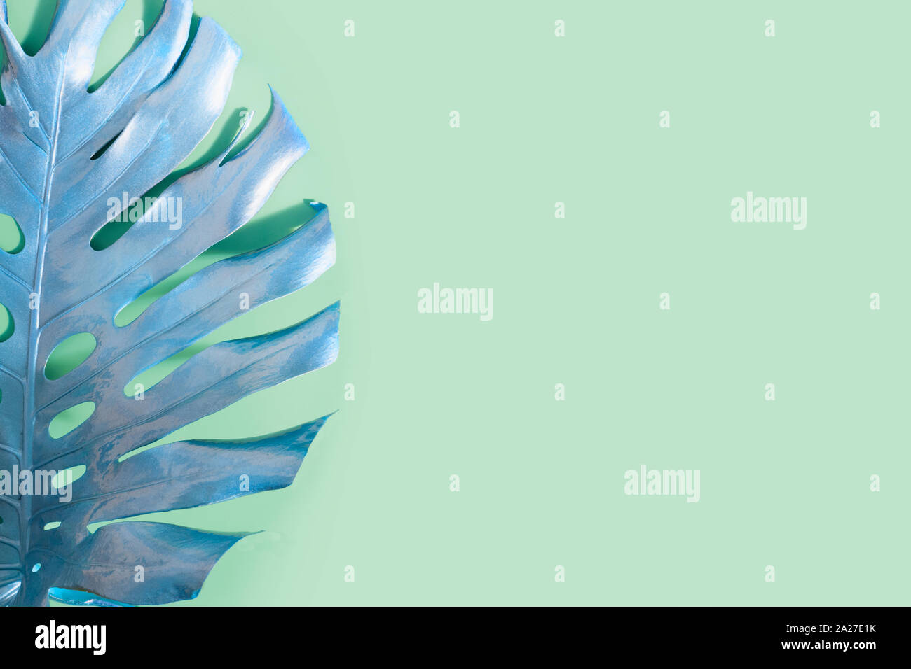 Tropical painted palm leaf Monstera on neo mint color. Abstract pattern for design and space for text. Stock Photo