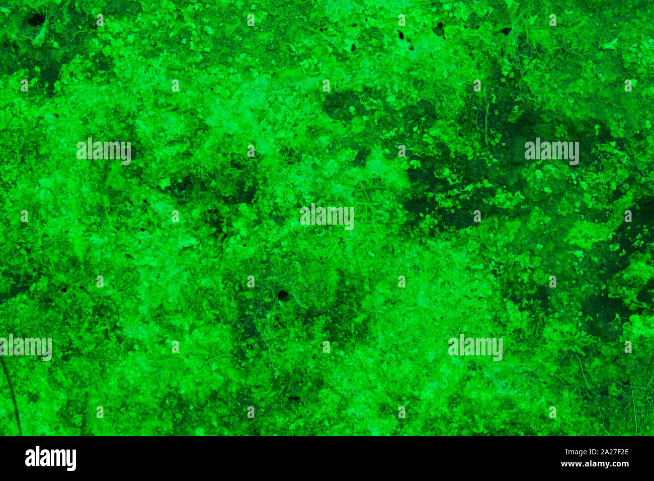 Green wall texture for background or wallpaper Stock Photo Alamy