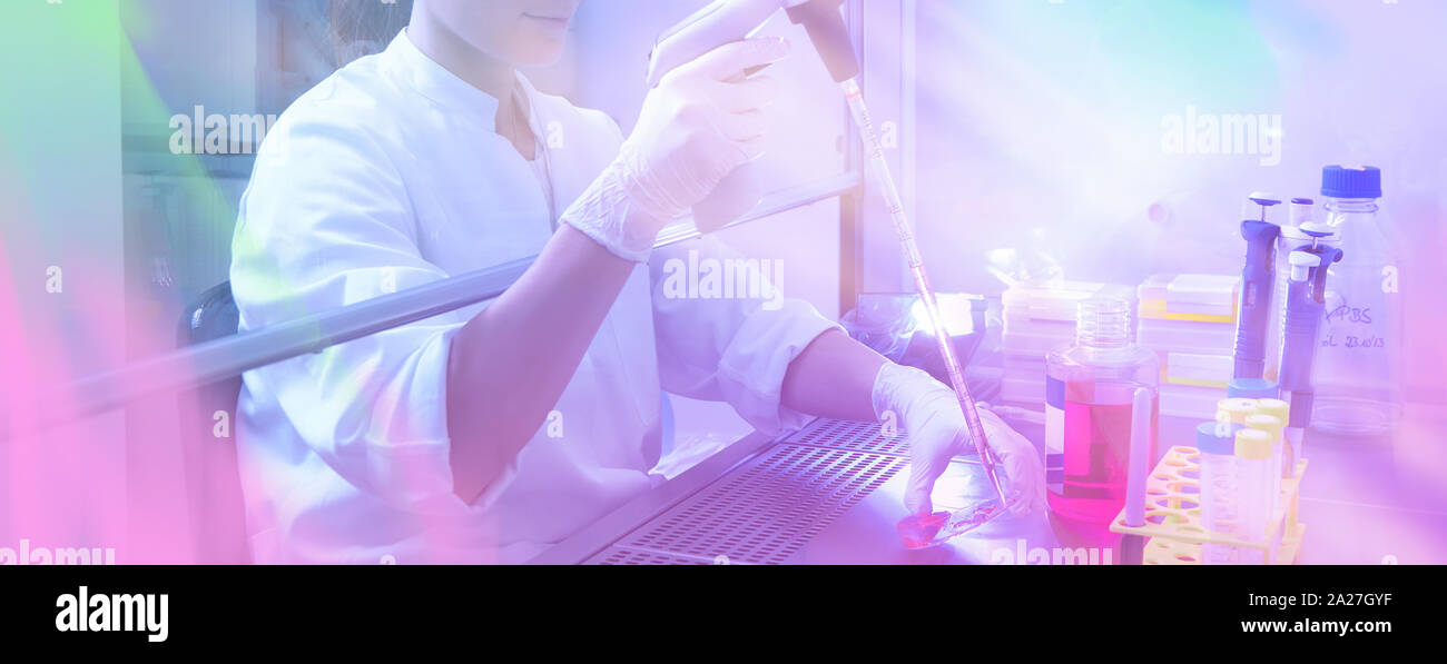 Cell culture experiment, scientific background. Female scientist works