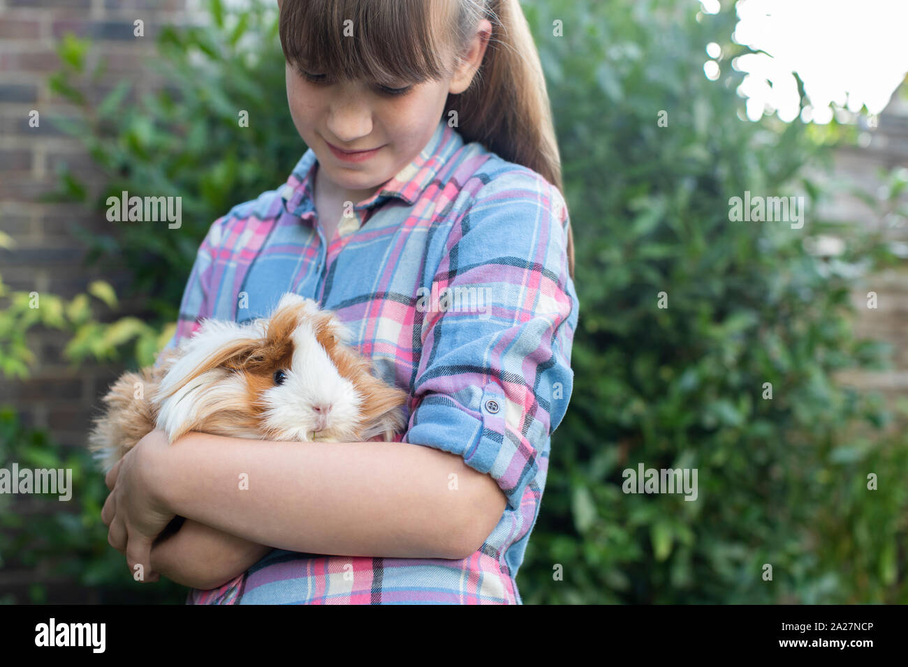 Girl Holding Pet Guinea Pig Outdoors In Garden Stock Photo