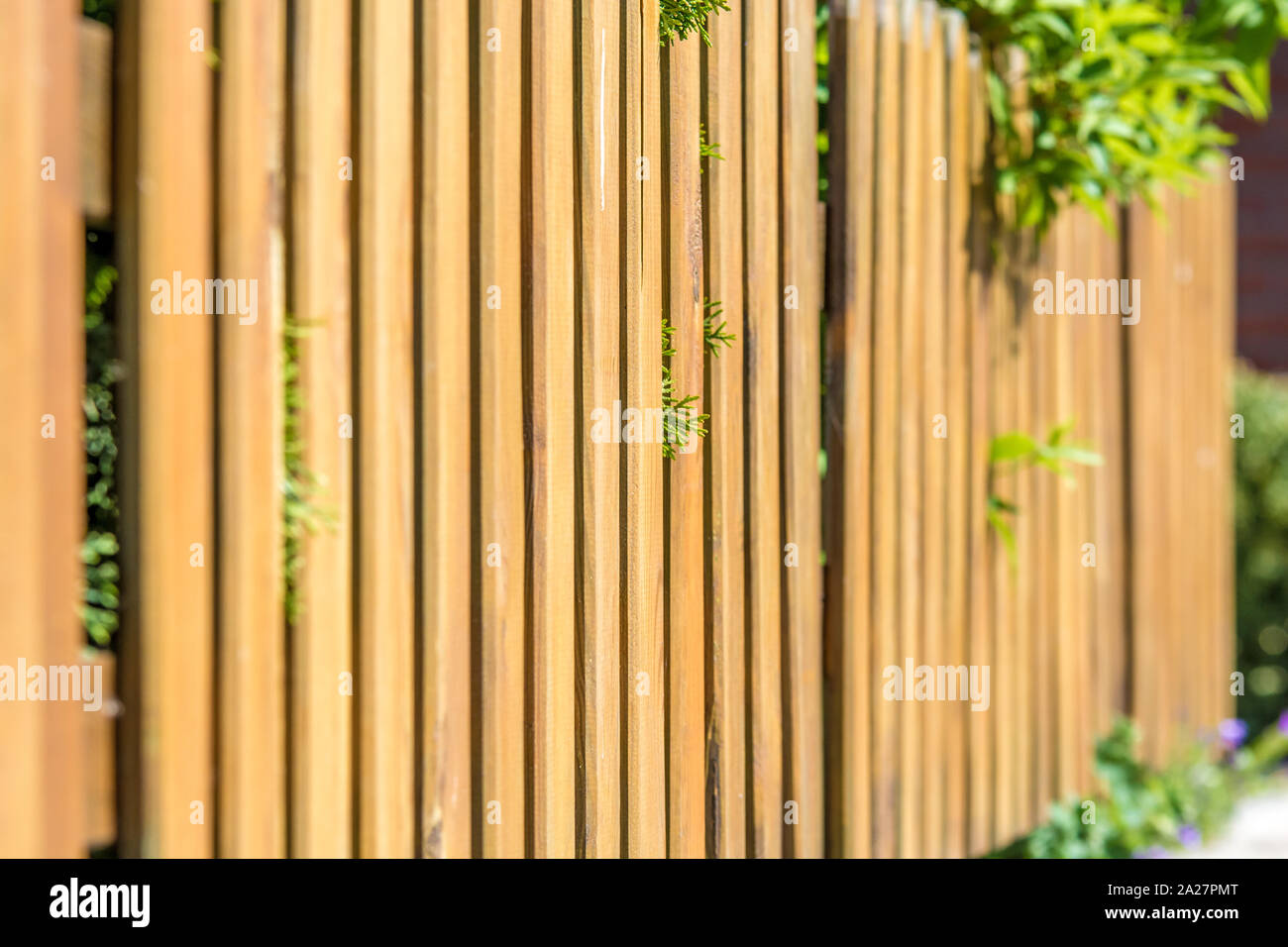 Newly built garden fence as property boundary Stock Photo Alamy