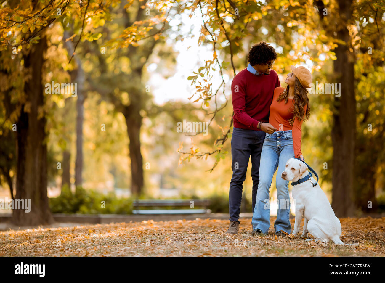 Multiracial young couple walking with dog in autumn park Stock Photo ...