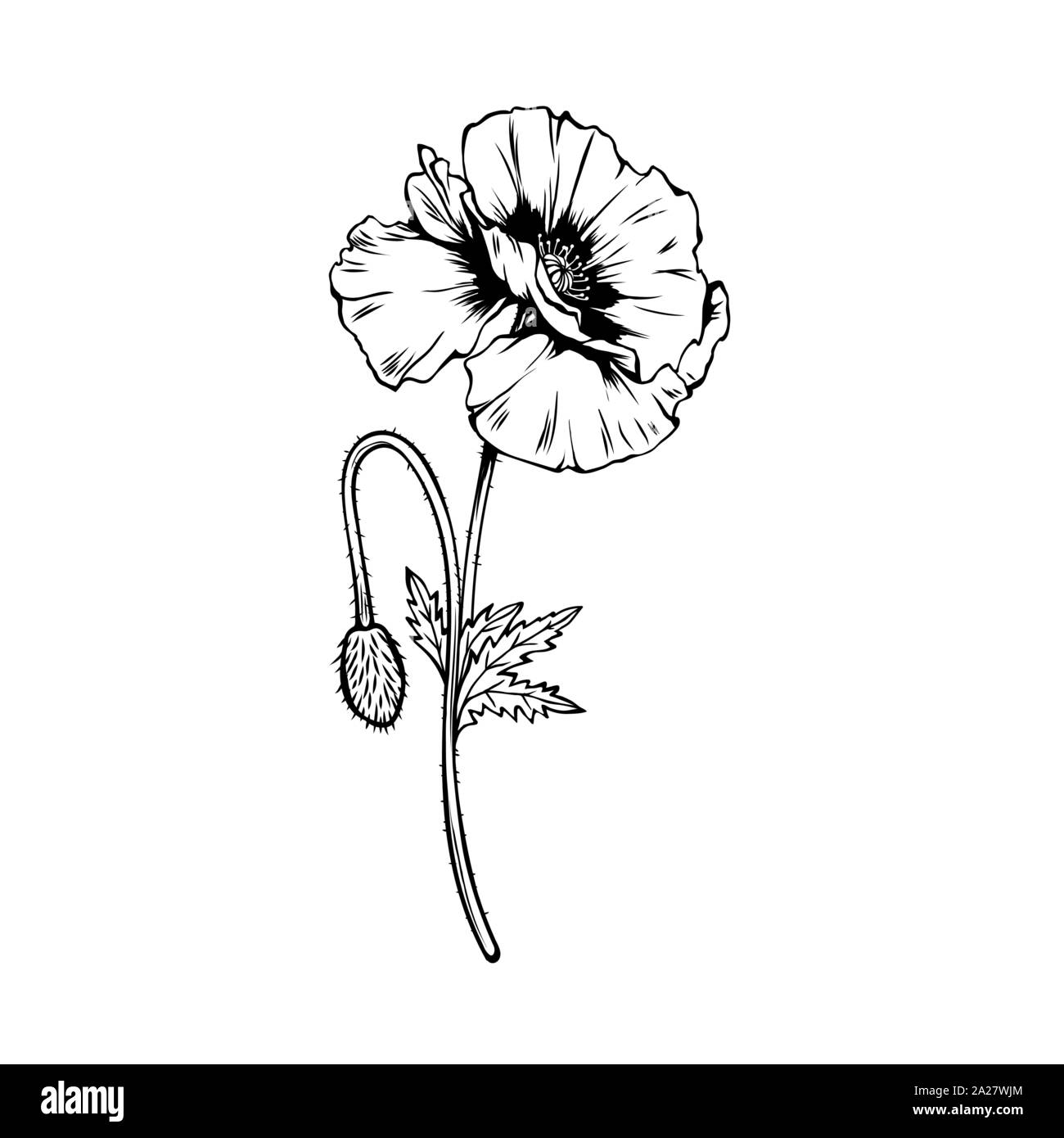 Remembrance day poppy black and white hi-res stock photography and ...