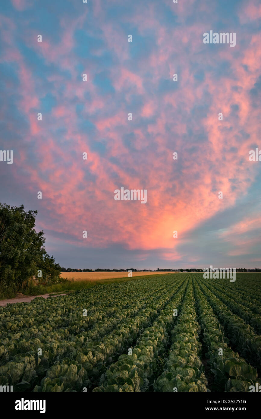 Clouds over the landscape of the western Netherlands are beautiful illuminated by the low sun Stock Photo