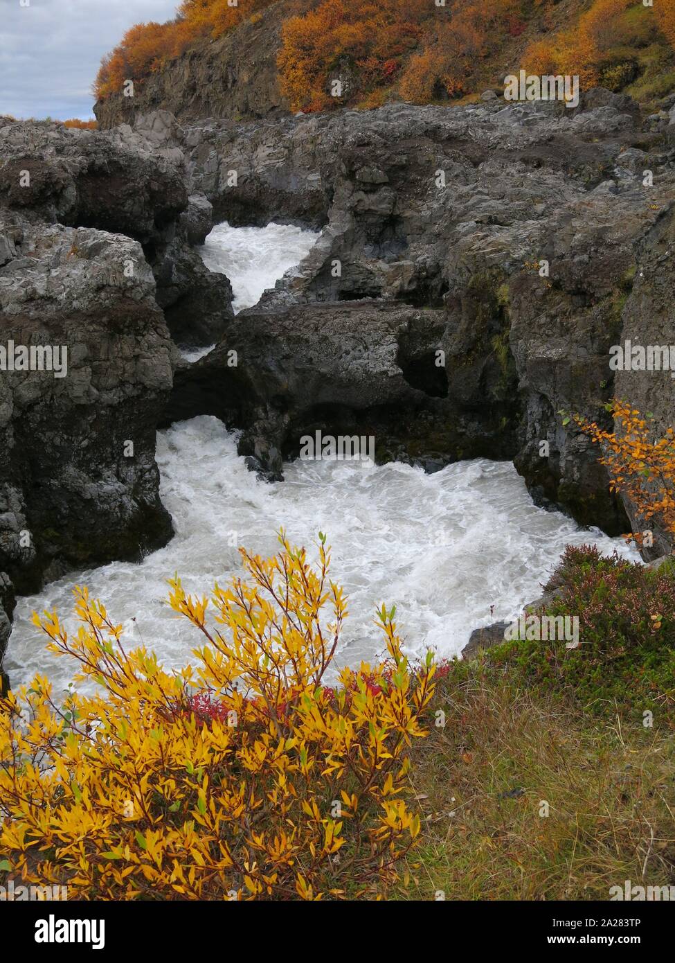 Autumn vegetation adds to the dramatic landscape at Barnafoss Waterfall, or the Children's Falls, as the rapids race down a narrow valley. Stock Photo