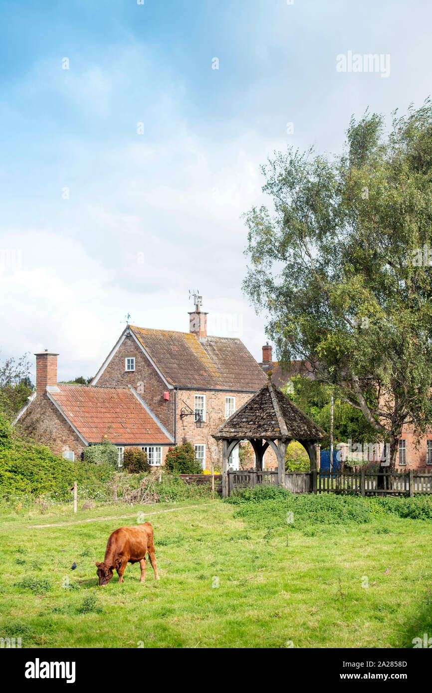 The village of FramptononSevern, Gloucestershire UK Stock Photo Alamy