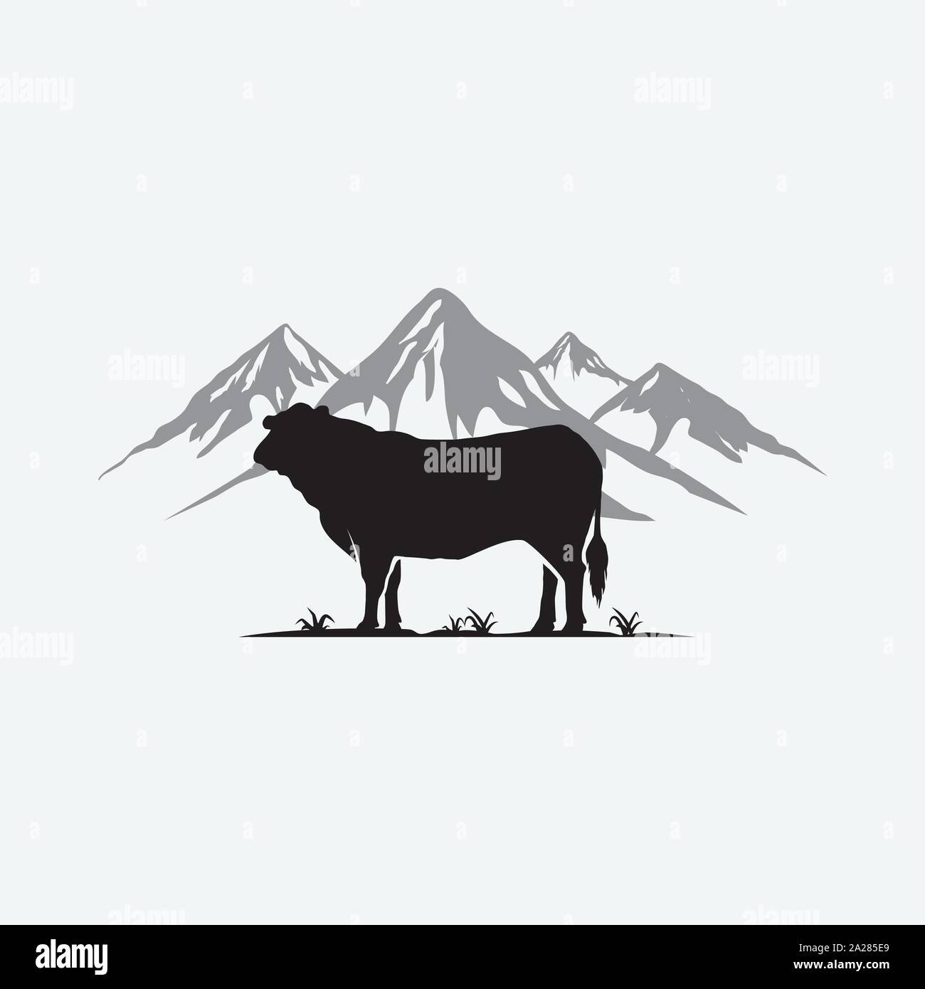 Black angus logo vector design template. cow farm logo design illustration, cow vector illustration Stock Vector