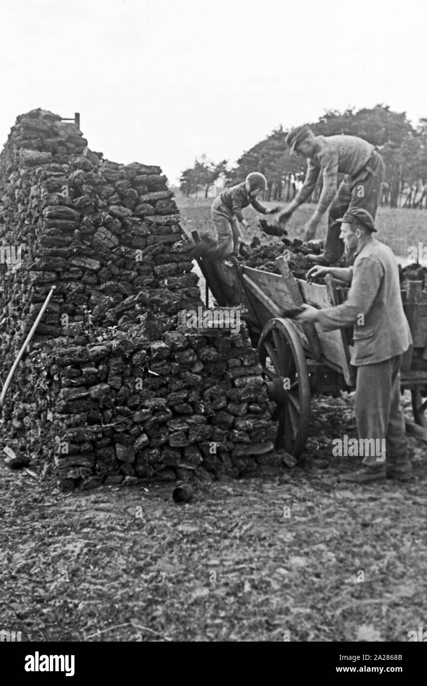 Torfgewinnung im Emsland, 1945 -1949. Peat extraction in Ems region, 1945-1949. Stock Photo