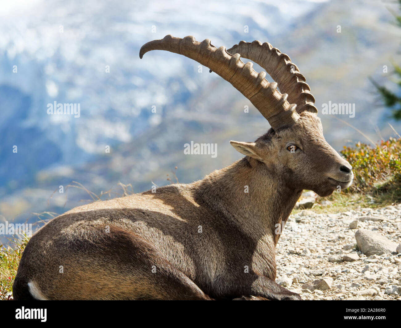Aiguilles Rouge Massif High Resolution Stock Photography and Images - Alamy