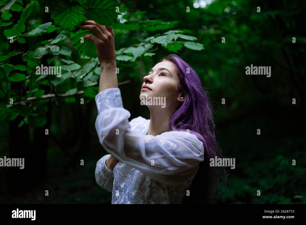 woman reaches for tree branches Stock Photo