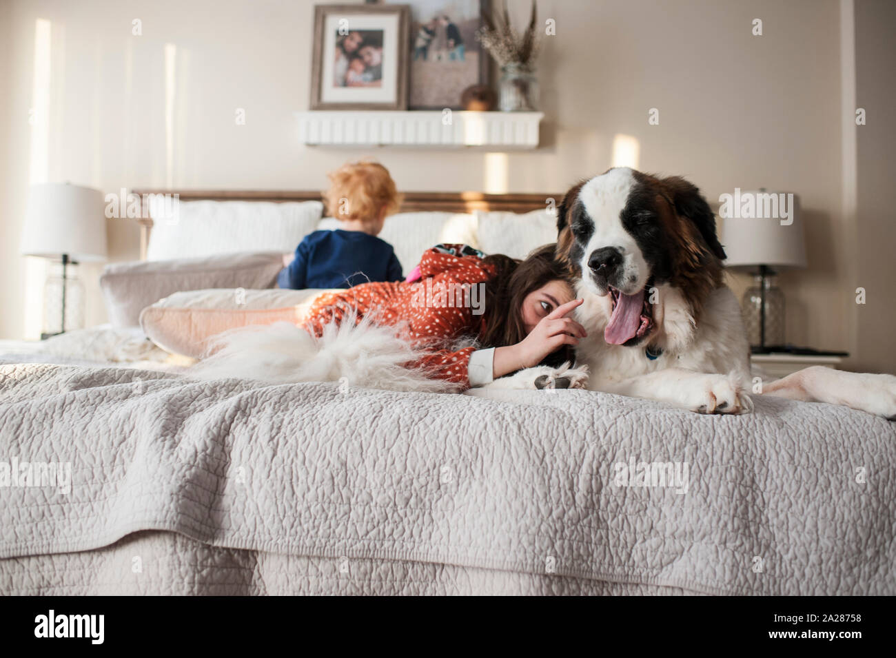 Kids lay on bed with large dog while girl tries to touch dogs tongue Stock Photo