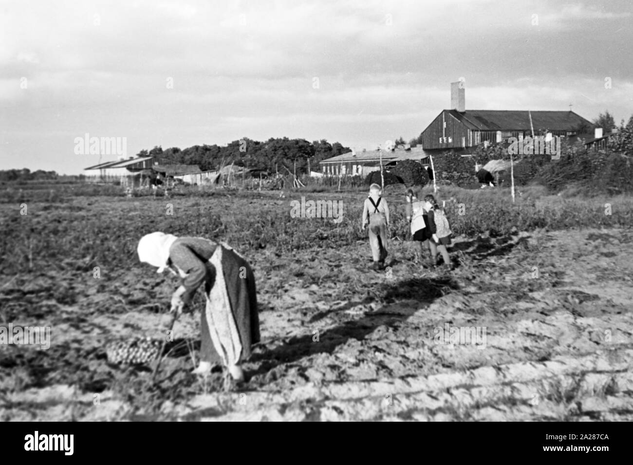 Umsiedleralltag im Emsland, 1945-1949. Day to day of evacuees in Ems region, 1945-1949. Stock Photo