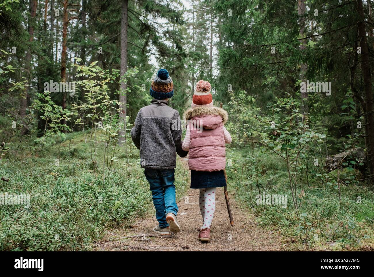 brother and sister holding hands walking through the forest in fall ...