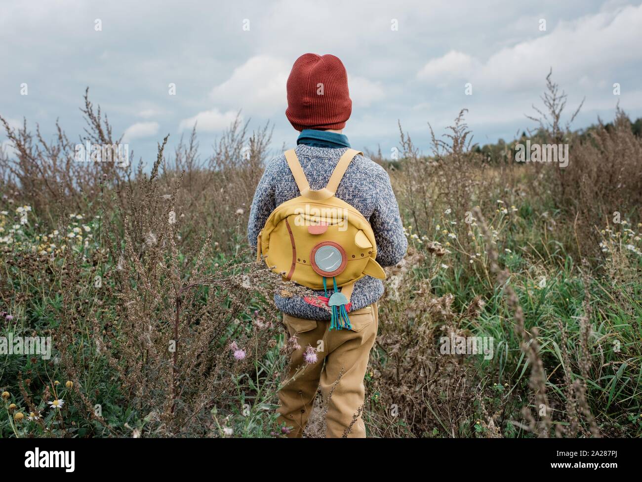 back of a young school boy looking at a field of wild flowers thinking Stock Photo