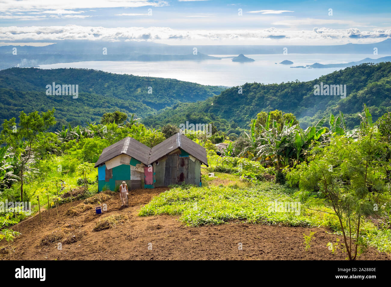 Farmer working in field in front of his home overlooking Taal Lake, Tagaytay, Cavite Province, Philippines Stock Photo