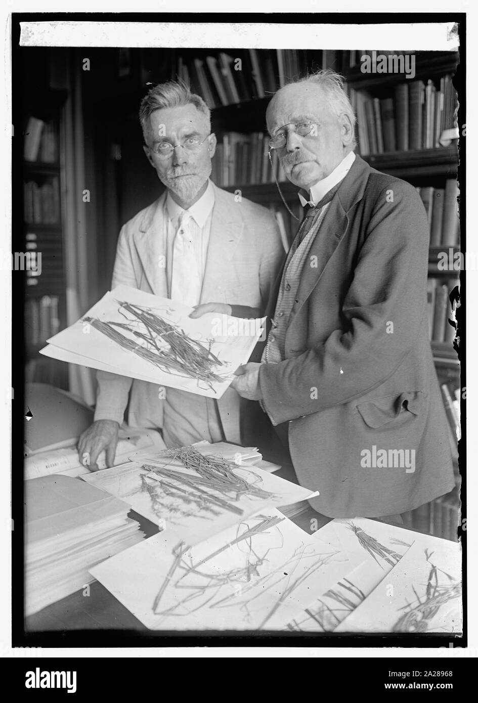 Prof. A.S. Hitchcock of Ag. Dept. & Dr. Otto Stapf at Ag. Dept., 9/2/24 Stock Photo