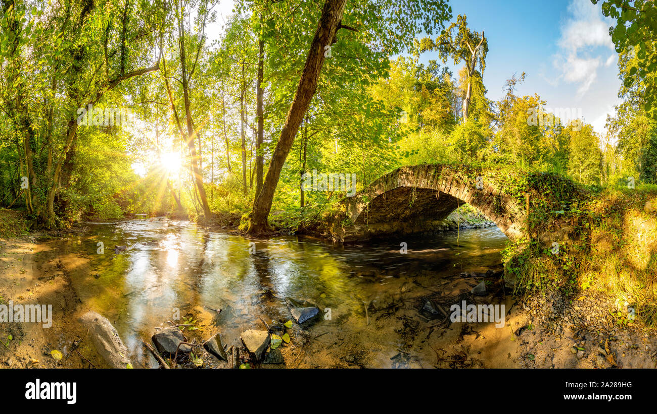 Old bridge over a creek in the forest with bright sun shining throug the trees Stock Photo