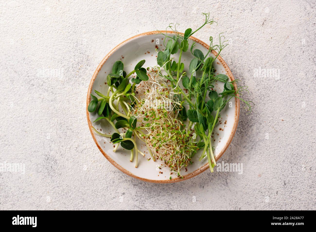 Проект 9 класс микрозелень The 9 Best Microgreen Growing Kits