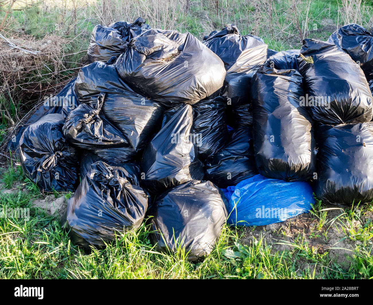 The big black plastic bags with garbage waste in forest Stock Photo - Alamy