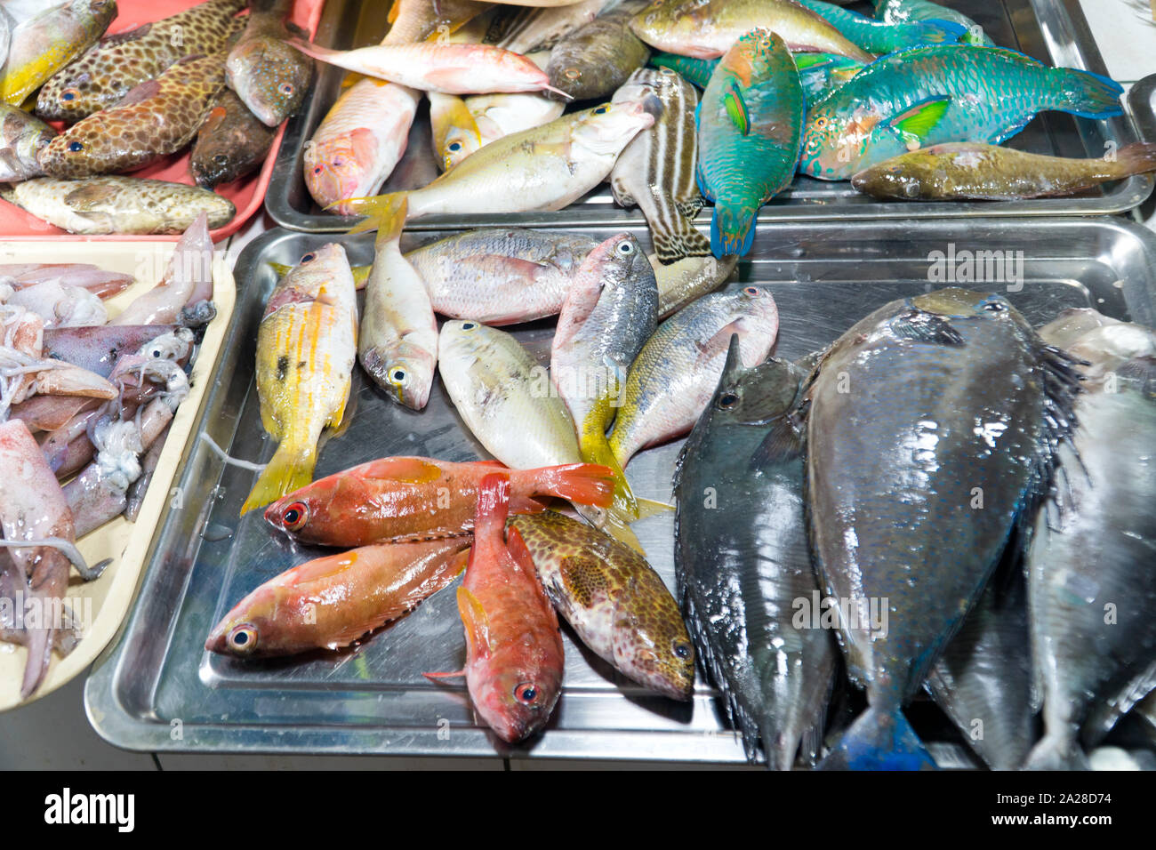 Seafood market 2024 near me