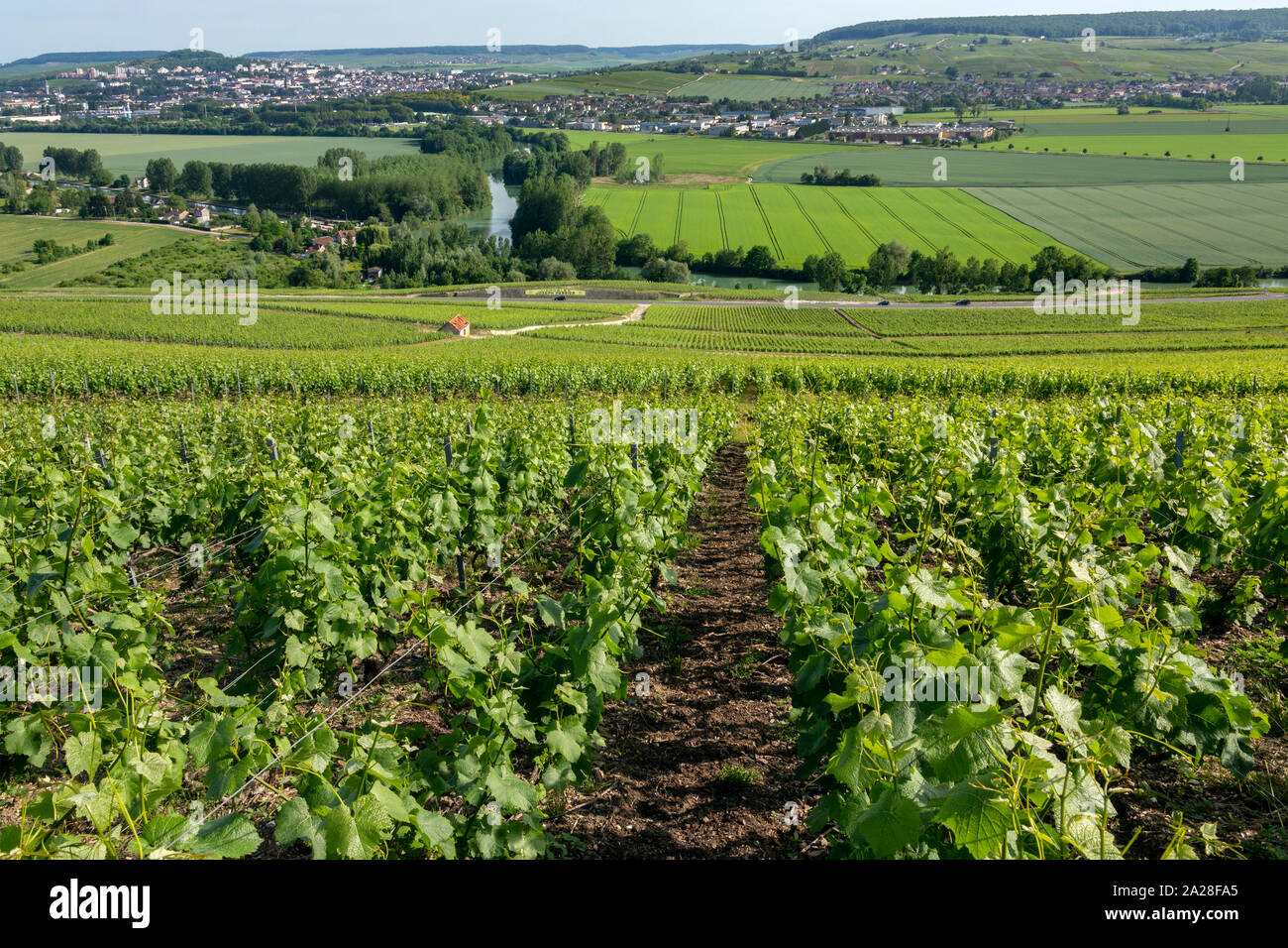 Vineyards and the River Marne at Hautvillers near Epernay (in background), south of Reims in northern France. Epernay is best known as the principal ' Stock Photo