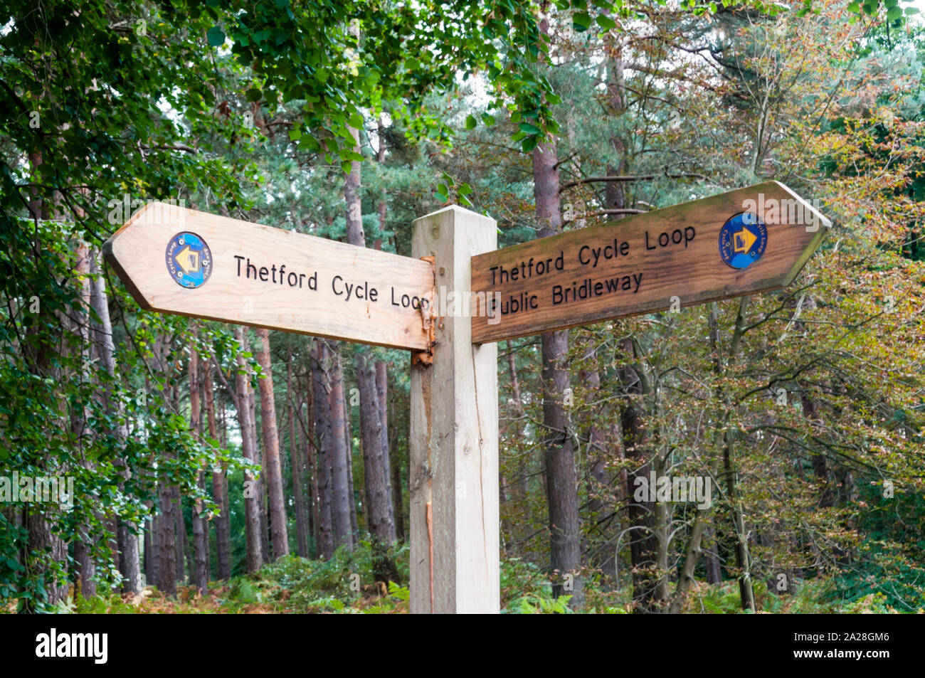 Signpost for Thetford Cycle Loop and a public bridleway in Thetford Forest. Stock Photo