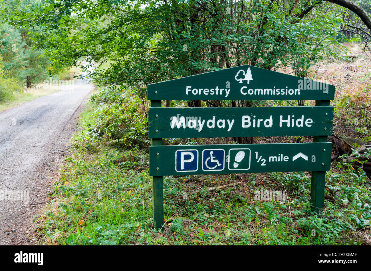 A Forestry Commission sign for Mayday Bird Hide beside a track in Thetford Forest. With icons for parking, wheelchair access & footpaths. Stock Photo