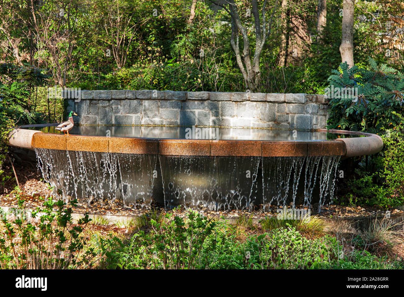 Atlanta Botanical Garden Atlanta Georgia Stock Photo 328415131