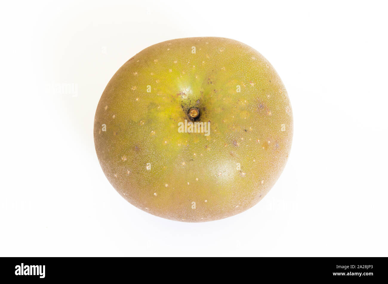 Russet Apple Fruit Variety On A White Background Stock Photo