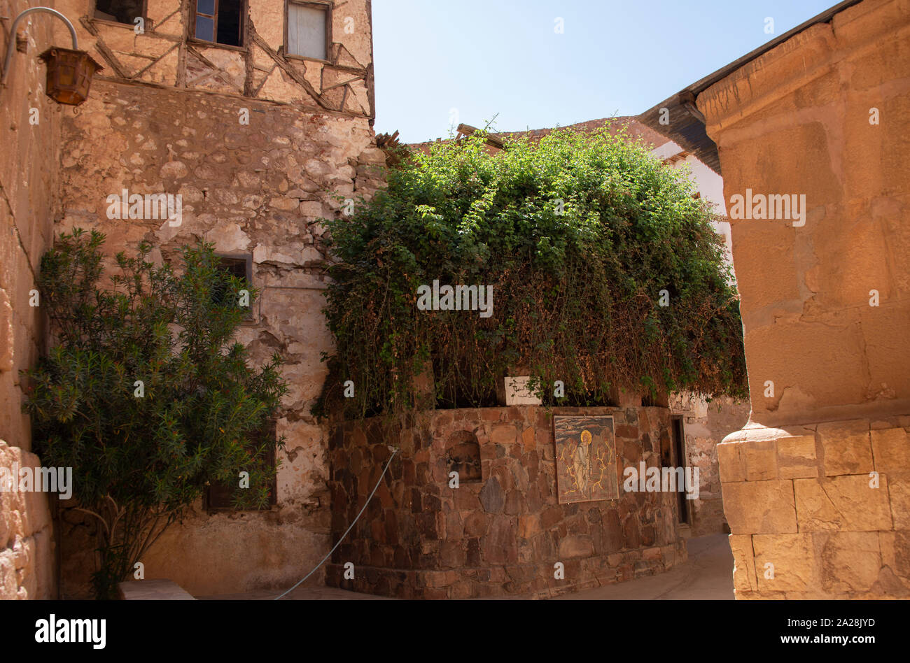 Burning bush said to be seen by Moses in the Old Testament inside Saint Catherine's Monastery Stock Photo