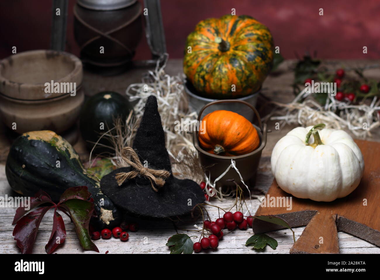 Small decorative pumpkins photographed for the halloween party Stock
